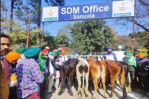 Farmers reached the SDM office with trolleys of helpless animals, the officials closed the main gate