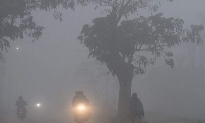 Meteorological Department has issued an alert of dense fog and rain