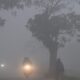 Meteorological Department has issued an alert of dense fog and rain