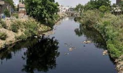 The 15th stage of the walk to save the old river from pollution by environmentalists has been completed