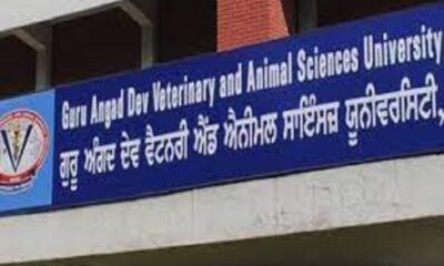 The non-teaching staff of Veterinary University opened a front against the government