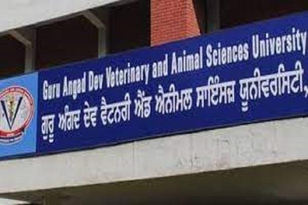 The non-teaching staff of Veterinary University opened a front against the government