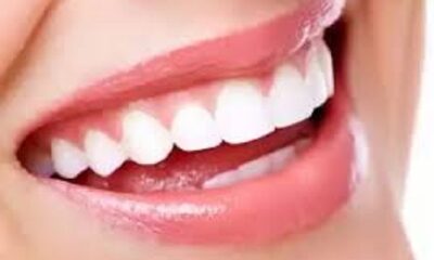 Treatment of dental diseases started under the dental fortnight