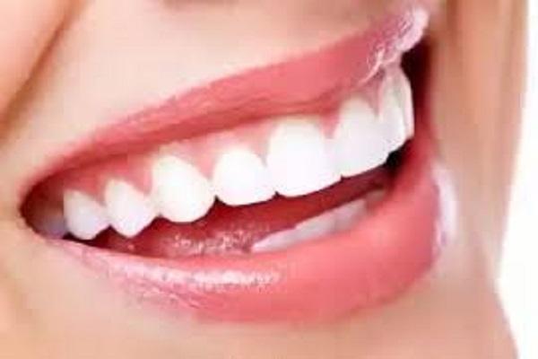 Treatment of dental diseases started under the dental fortnight