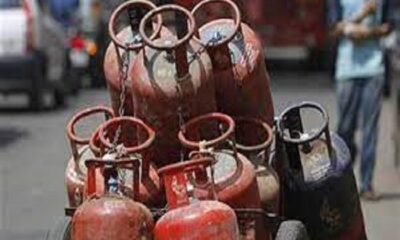 Where and how do household cooking gas cylinders come for black market?