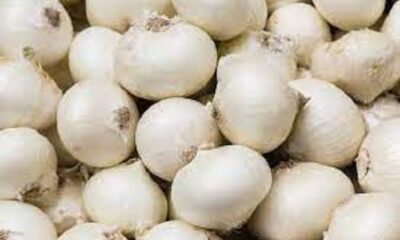 White onion juice improves eyesight, but take precautions