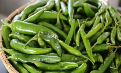 Consume green pepper to speed up the eyesight!