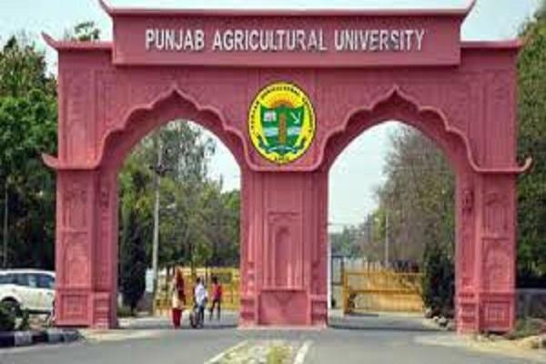 1256 students from government schools of Punjab visited PAU