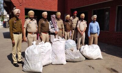 Raikot police recovered 1 quintal of 80 kg of wheat crop planted in the field