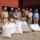 Raikot police recovered 1 quintal of 80 kg of wheat crop planted in the field