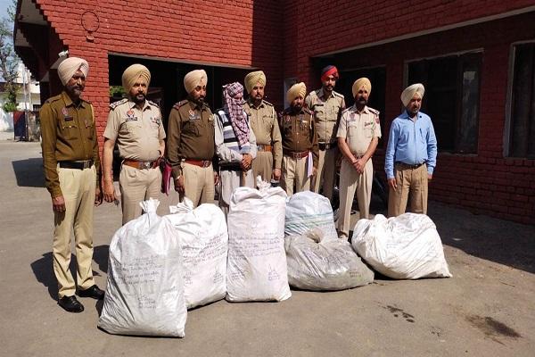 Raikot police recovered 1 quintal of 80 kg of wheat crop planted in the field