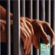 24 mobile phones were recovered from the barracks of Ludhiana's Central Jail, a case was registered