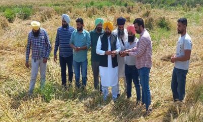 MLA Mundia announced to participate in the compensation of one month's salary for crop failure