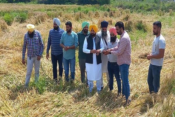 MLA Mundia announced to participate in the compensation of one month's salary for crop failure