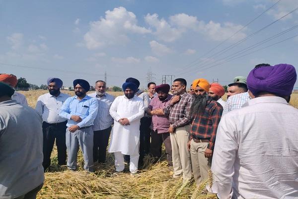 Assessment of crops damaged due to unseasonal rain by administrative officials