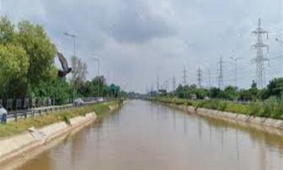 Due to the cleaning campaign of the Sidhwan canal, the amount of garbage in the canal has reduced significantly