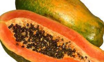If you are troubled by high cholesterol, then do papaya swain like this, you will get benefit
