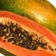 If you are troubled by high cholesterol, then do papaya swain like this, you will get benefit