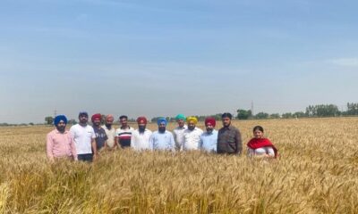 Extension experts discussed wheat surface seeding with farmers