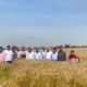 Extension experts discussed wheat surface seeding with farmers