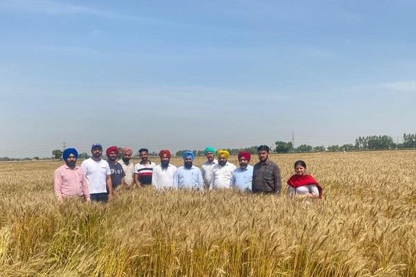 Extension experts discussed wheat surface seeding with farmers