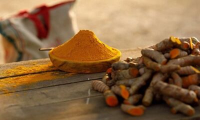 Consume turmeric to increase the body's immunity!