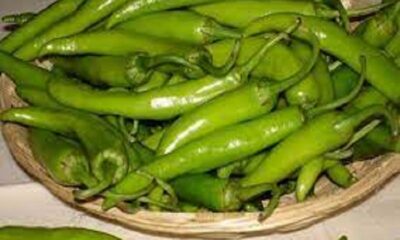 Consume green pepper to speed up the eyesight!