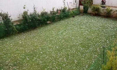 Rain and hail in many districts of Punjab, wet wheat in markets
