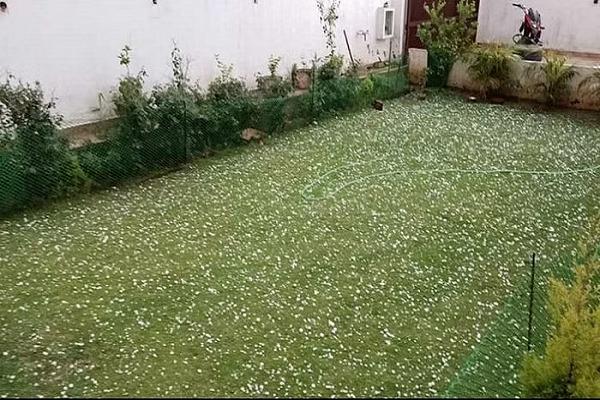 Rain and hail in many districts of Punjab, wet wheat in markets