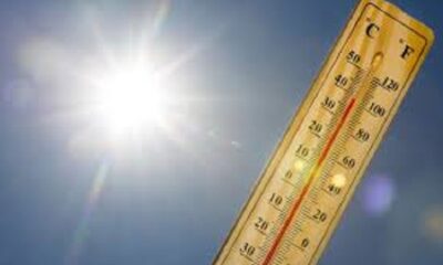 Now the summer will show its color in Punjab! The mercury will go up to 39 degrees this week