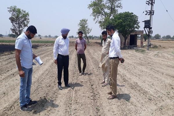 Farmers to increase the area under soft crops: Dr. Gurmeet Singh Buttar