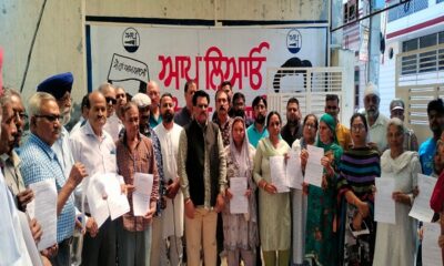 MLA Bagga issued widow/old age pension to more than 200 beneficiaries