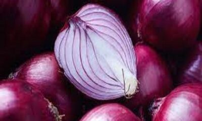 Health benefits of eating raw onion