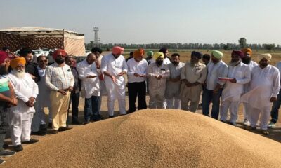 The chairman of Markfed started purchasing wheat in different markets of Ludhiana