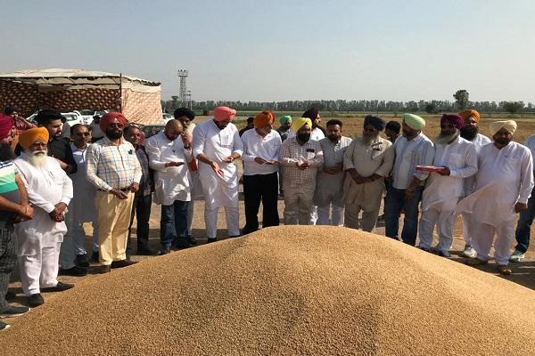 The chairman of Markfed started purchasing wheat in different markets of Ludhiana