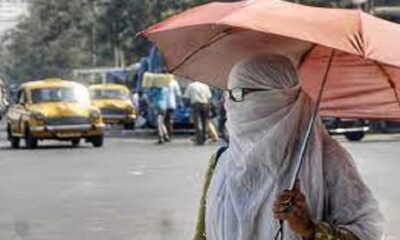 The heat of fury started falling in Punjab, mercury crossed 41 degrees, the roads were covered with sun