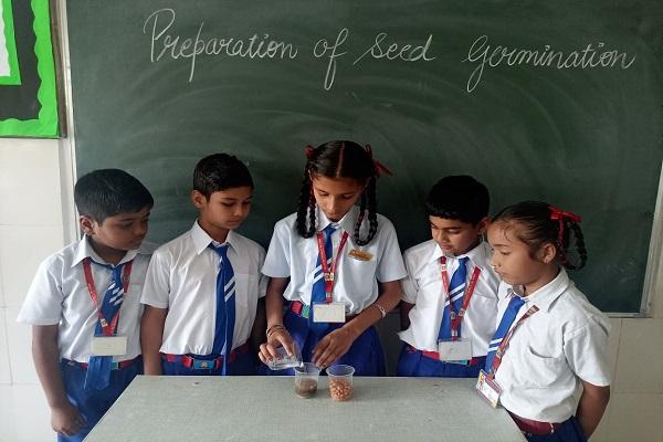 Earth Day was celebrated at Sacred Soul Convent School