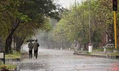 Heavy winds will blow with rain and lightning in Punjab, alert issued for these districts
