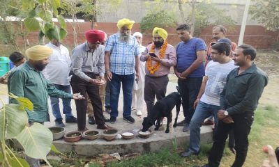 The campaign to feed water to birds is commendable - Chairman Makdar