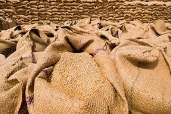 Arrival and purchase of wheat in Ludhiana district broke last year's records