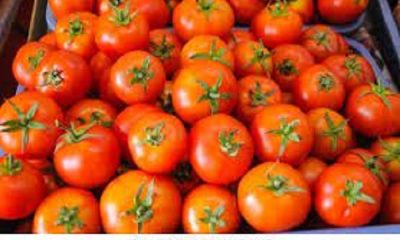 Tomato prices took a big leap, vegetable rates started to skyrocket