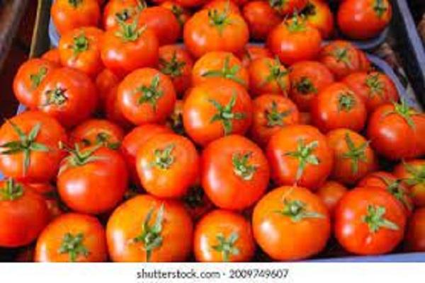 Tomato prices took a big leap, vegetable rates started to skyrocket