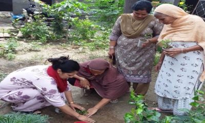 A special event was held in village Bhaini Waringa on World Environment Day