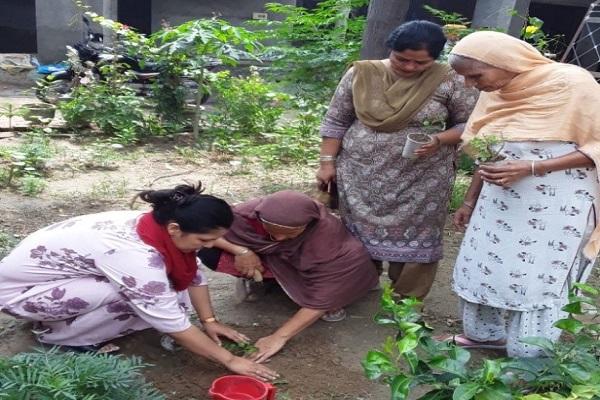 A special event was held in village Bhaini Waringa on World Environment Day