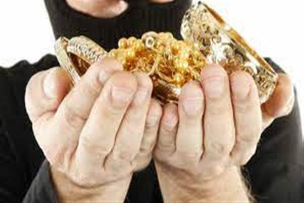 Retired Sessions Judge's Maid Steals Diamond Jewellery