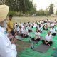 PAU Department of Food and Nutrition celebrated International Yoga Day