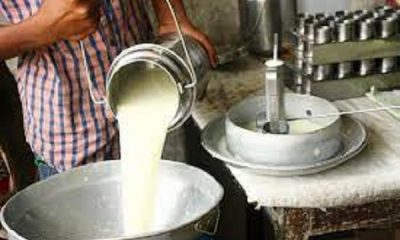 The second batch of dairy business training will start from July 03: Deputy Director Dairy
