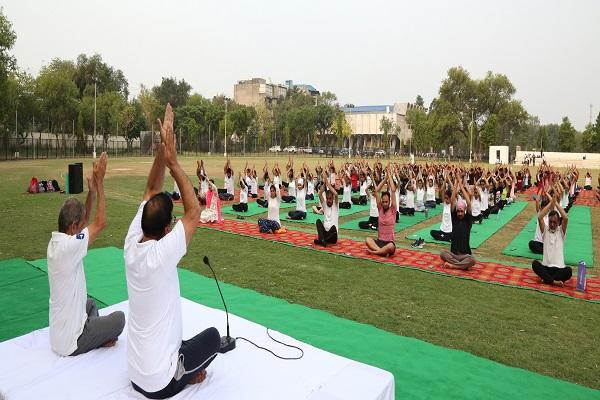 Directorate of Student Welfare organized a session related to Yogyakarta Day