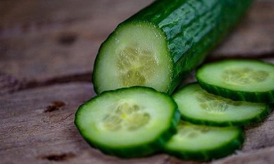 Include cucumber in the diet, get innumerable benefits