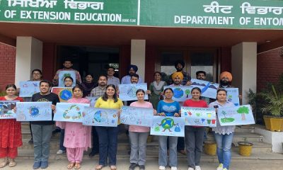 Competition organized by students on the occasion of World Environment Day